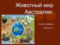 Презентация по географии на тему Животный мир Австралии (8 класс)