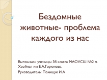 6 Бездомные животные -проблема каждого из нас