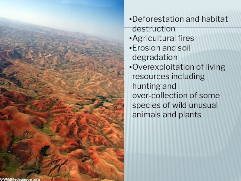 Deforestation and habitat destruction Agricultural fires Erosion and soil degradation Overexploitation of living resources including hunting and