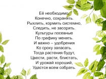 Презентация по биологии Минеральное питание растений (6 класс)