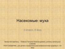 Презентация к уроку по развитию речи Насекомые - муха (3 класс, 8 вид)