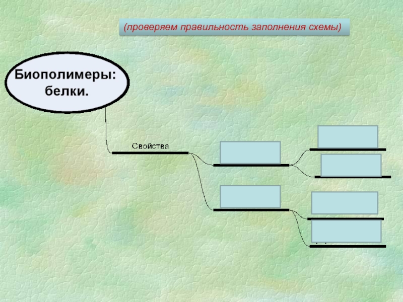 4 заполните схему. Биополимеры белки схема. Процесс проверки адекватности схема. Технологическая схема производства биополимеров. Заполните схему подтверждая правильность заполнения.