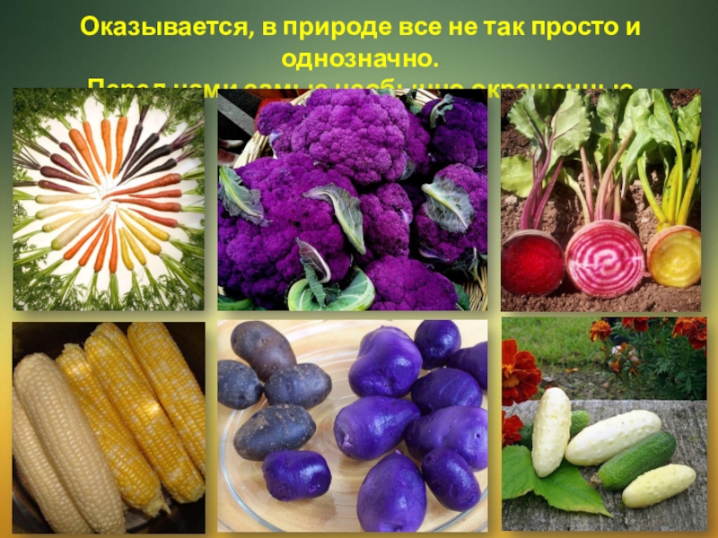 Необычная презентация продукта