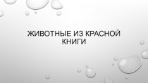 Презентация по окружающему миру на тему  Животные из Красной книги