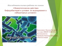 Презентация  Исследовательская работа: Выращивание бифидобактерий в лабораторных условиях