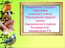 Презентация  Зимующие птицы нашей местности