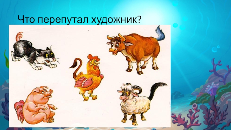 Найди ошибку животные. Перепутанные животные в картинках для детей. Изображения животных с перепутанными частями тела. Что перепутал художник домашние животные. Что перепутал художник домакшниеживотные.