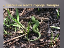 Мой город - Самара