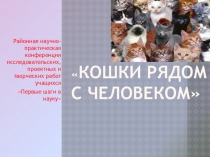Презентация к исследовательской работе Кошки рядом с человеком