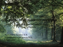 Презентация по биологии на тему Среды обитания организмов