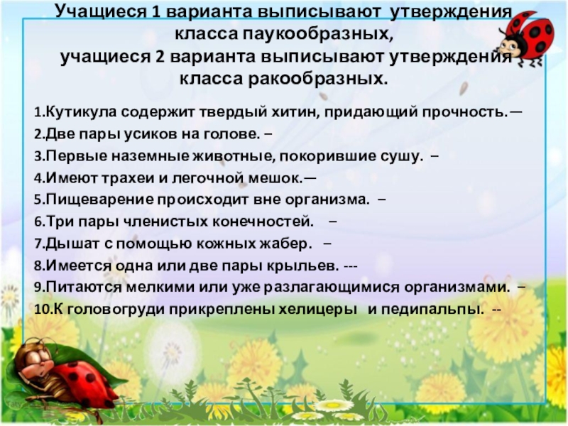 Класс насекомые 7 класс биология пасечник. Неверные утверждения в классе паукообразных. Учащиеся 1 варианта выписывают утверждения о классе паукообразных. Презентация класс насекомые 7 класс биология Пасечник.