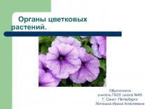 Презентация Органы цветковых растений 6 класс Пасечник