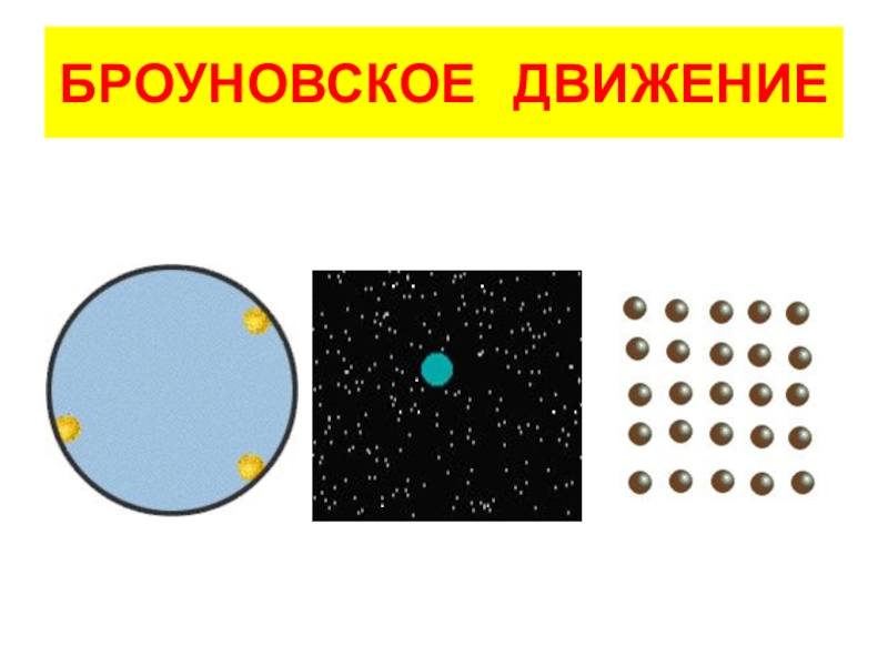 Броуновское движение физика. Броуновское движение. Броуновское движение диффузия. Броуновское движение анимация. Имитация броуновского движения.