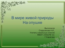 Презентация по окружающему миру В мире живой природы