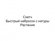 6 класс, зарисовки с натуры. Растения