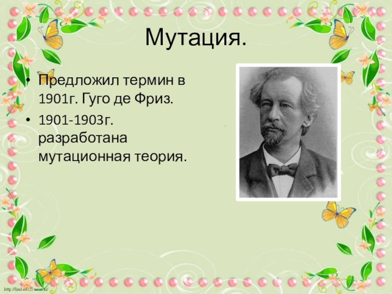 Предложен термин