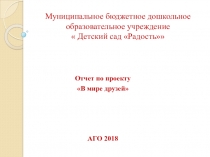 Презентация-отчет по проекту В мире друзей