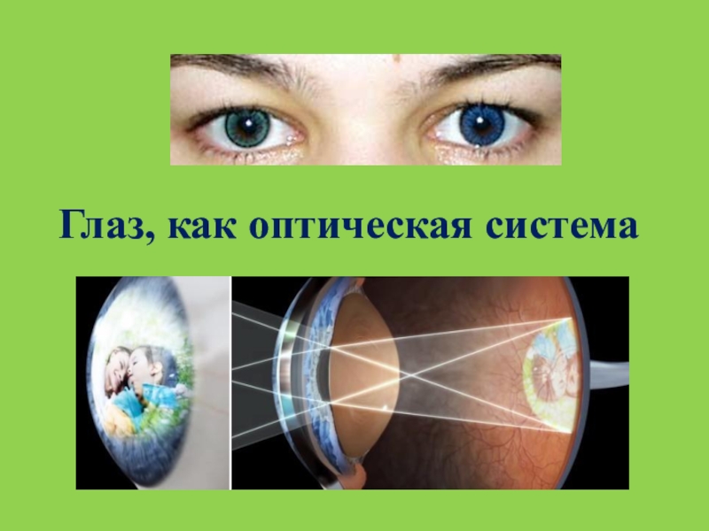 Доклад по физике на тему зрение. Глаз как оптическая система. Глаз как оптическая система физика. Глаз человека как оптическая система. Глаз физика оптика.