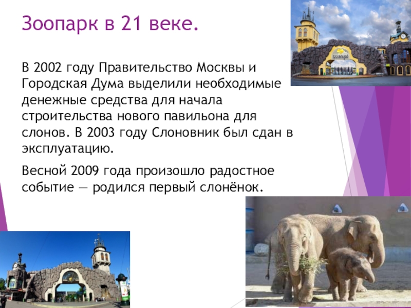 Зоопарк 21. Зоопарк Москва. Сообщение о любом зоопарке.