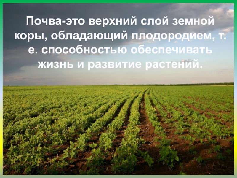 Биология почв. Почвы Урала. Уральский район почвенные ресурсы. Почвы ресурсы Урала. Почвенные ресурсы Урала таблица.