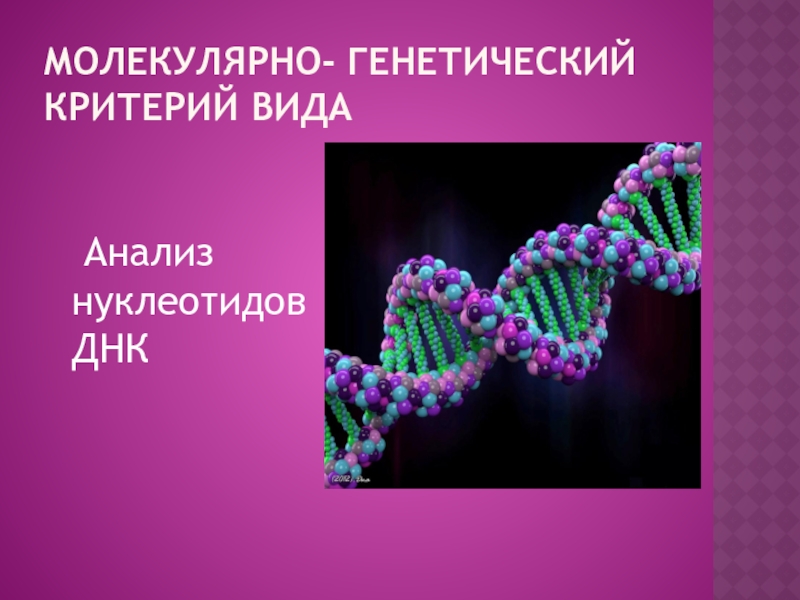 Молекулярно генетический. Молекулярно-генетический критерий вида. Молекулярно-генетический критерий примеры. Молекулярно-генетический критерий вида примеры. Критерии молекулярно генетичного.