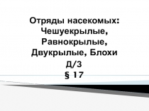 Презентация по биологии Отряды насекомых: чешуекрылые, равнокрылые, двукрылые, блохи (7 класс)