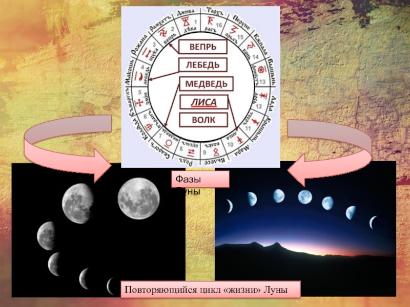 Повторяющийся цикл «жизни» Луны Фазы Луны