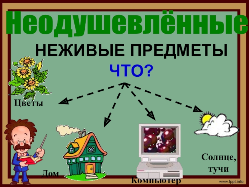 Неживые объекты. Неодушевленные предметы. Неодушевленные цветы.