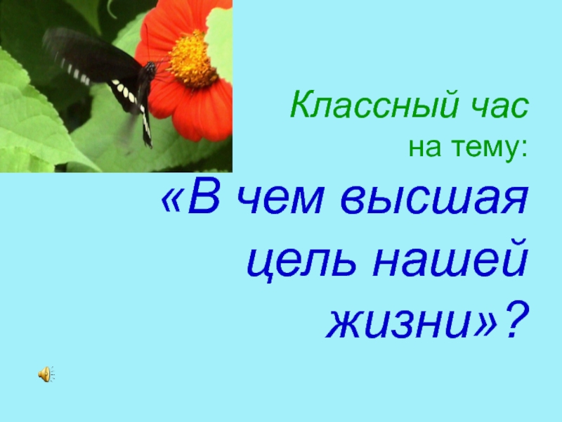 Презентация к классному часу В чем высшая цель нашей жизни?