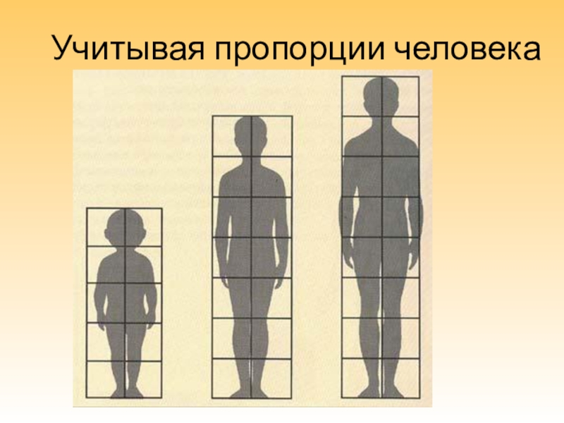 Пропорции и строение фигуры человека изо 7 класс рисунок поэтапно