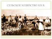 Презентация по истории России XIX - XX века на тему Сельское хозяйство