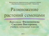 Презентация Размножение растений семенами к уроку окружающего мира для 2 класса