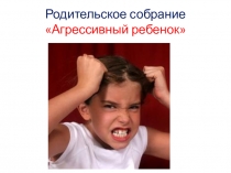 Родительское собрание Агрессивный ребенок
