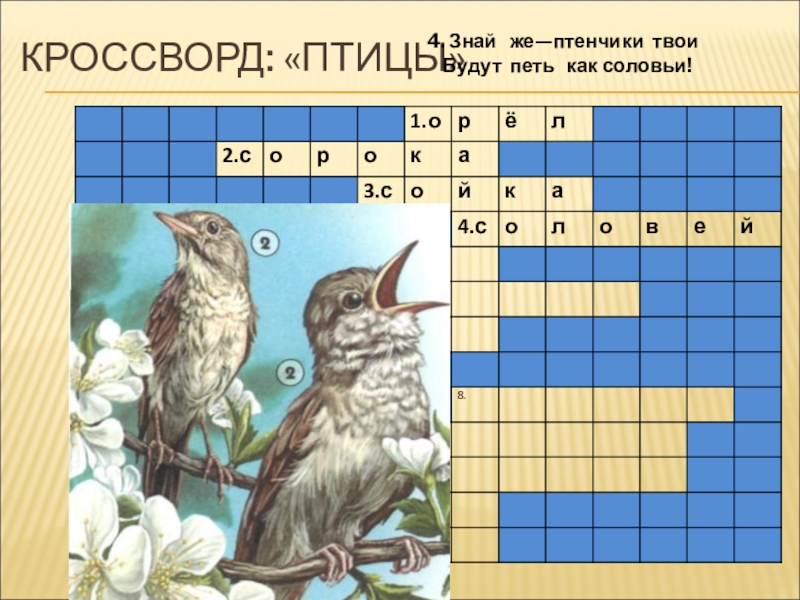 Птичка сканворд. Кроссворд Соловей. Птица из сканворда. Кроссворд на тему Соловей. Кроссворд Птичья столовая.