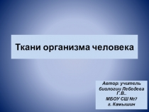 Презентация по биологии ткани организма человека
