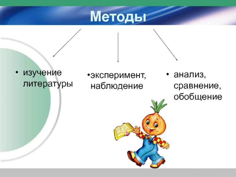 Садовнику надо посадить 16 луковиц и 11 луковиц лилий схема к задаче