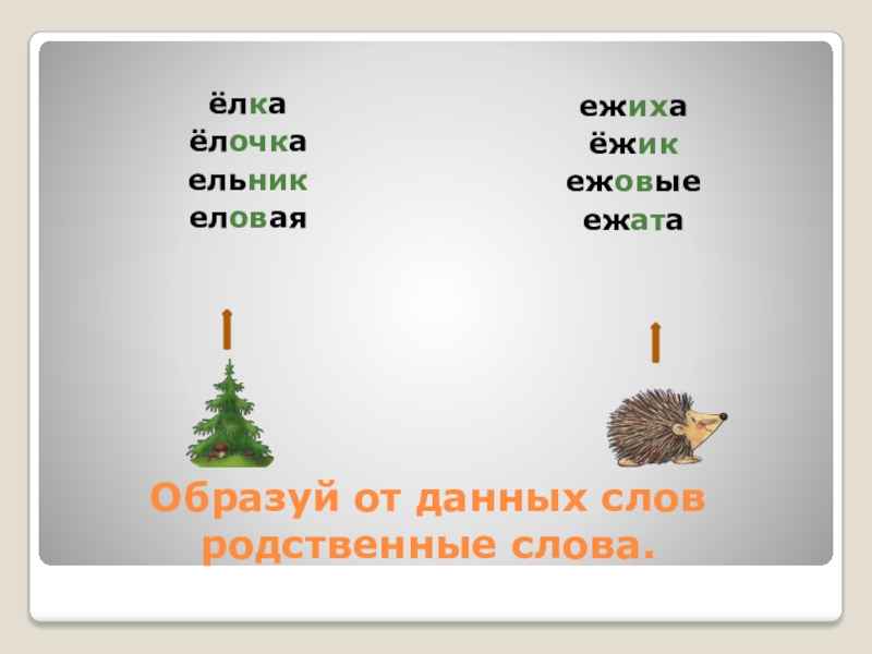 Ельник разбор. Ель родственные слова. Еж родственные слова. Родственные слова к слову елка. Однокоренные слова к слову елка.