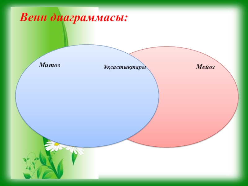 Диаграмма венна растения и животные