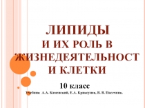 Презентация по биологии Липиды и их роль в жизнедеятельности клетки.