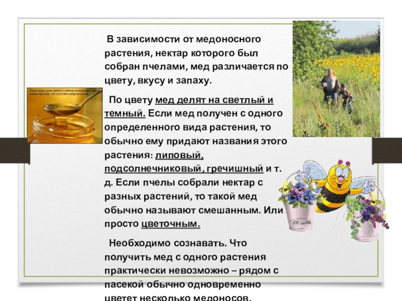 В зависимости от медоносного растения, нектар которого был собран пчелами, мед различается по цвету, вкусу и