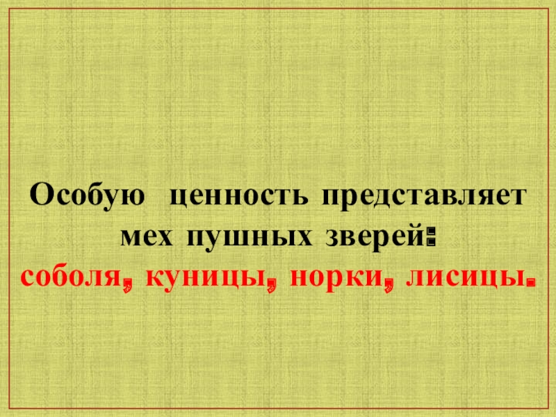 Хищные звери презентация для 8 класса школы 8 вида