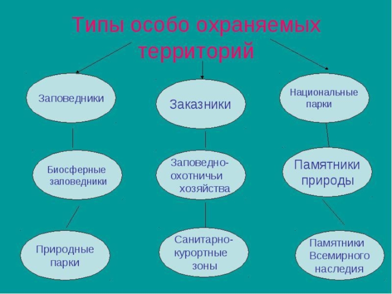 Презентация охрана природы и охраняемые территории 8 класс презентация