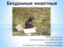 Научно-исследовательская работа Бездомные животные