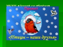 Презентация для использования в образовательной области Познавательное развитие Берегите птиц!