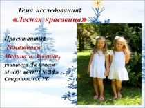 Презентация. Исследовательская работа Лесная красавица
