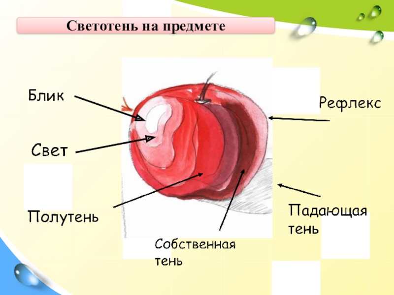 Рефлексы в рисунке