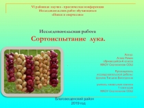Исследовательская работа Сортоиспытание лука