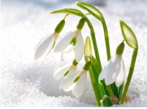 Презентация  Валентность.Химические формулы