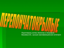 Презентация по биологии на тему Перепончатокрылые (7 класс)