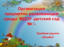 Организация предметно- развивающей среды ДОУ.